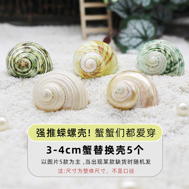 3-4cm 게 교체껍질 5개 [결합팩A]