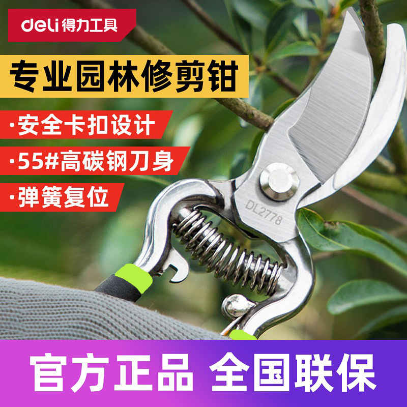 得力工具省力修枝剪园林8寸园艺剪果树树枝弯嘴果枝剪刀DL2789
