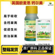 Ӣ���W��˼�}�����}���V�ʷ��ɟ����O���ර��Ě�����Ҹ��}