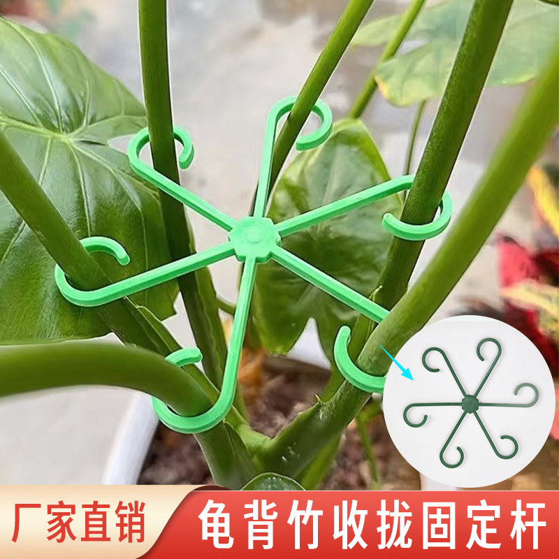 Soporte de tallo de planta de bambú de tortuga de espalda de tortuga marco de soporte plegable auxiliar rama marco de soporte de flores de jardinería