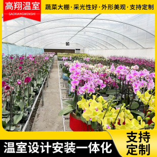 �������  ���N ������� ��\�� ������|���� �gӭ��ԃ