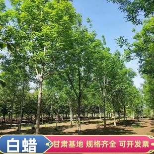 ���س��۰�Ϟ�� 6-15���ְ�Ϟ��G�����̘��� ��Ϟ����