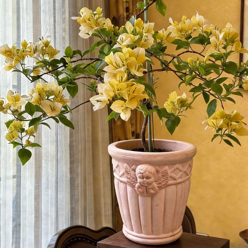 Handmade Coarse Pottery Flower Pot with Angel Baby Design, Hand-Pressed Red Clay, European and American Style, Clay Plant Decoration Pot Handmade Coarse Pottery Flower Pot with Angel Baby Design, Hand-Pressed Red Clay, European and American Style, Clay Plant Decoration Pot