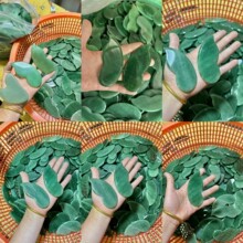 �|������J�����S�����l�羳ֱ��ԭ��ʯ��̔[��