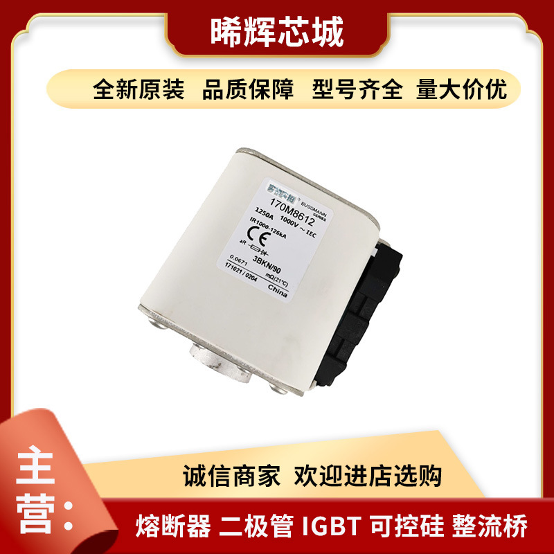 170M8612 170M8610巴斯曼低压熔断电子元器件 库存充足