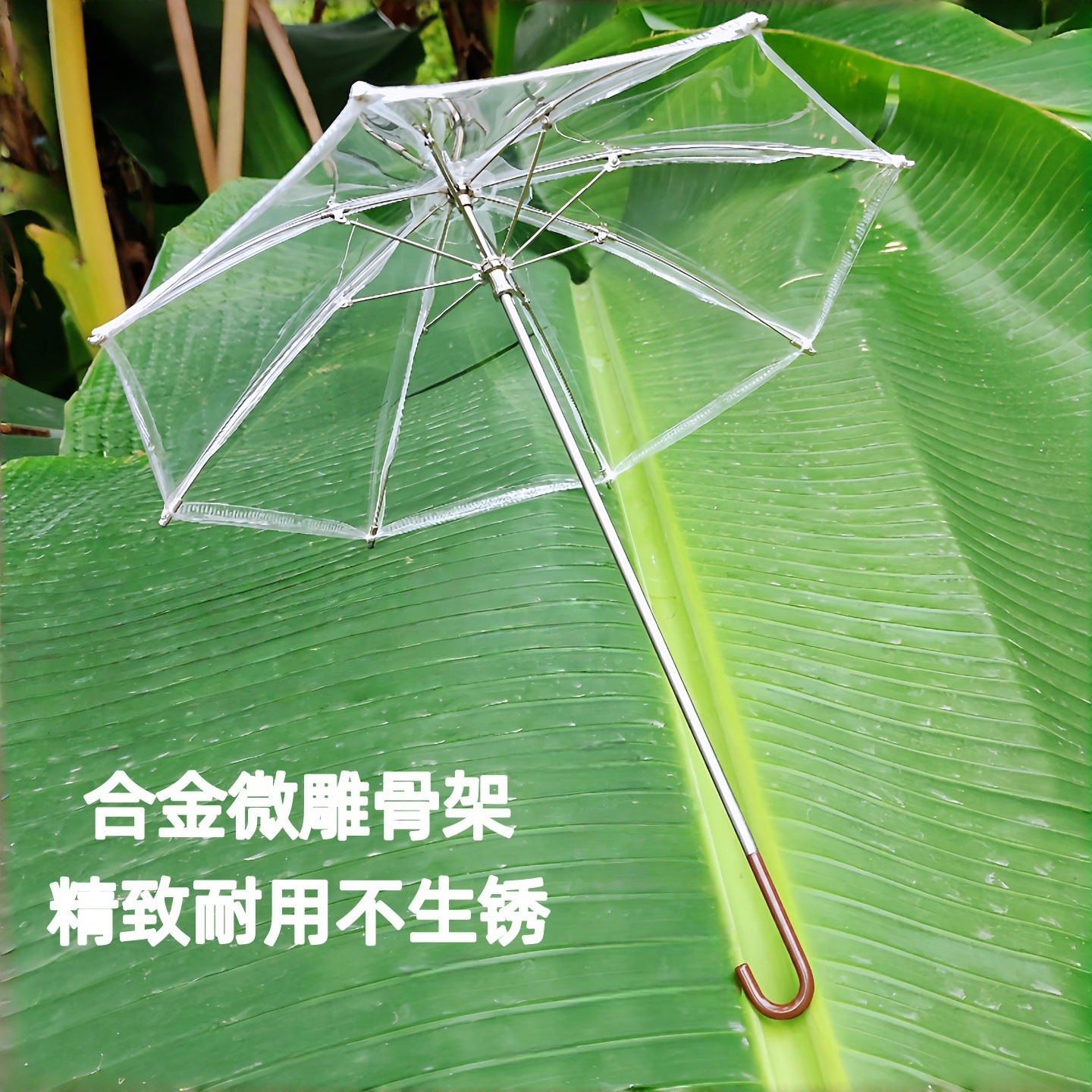 bjdɡ6��͸������Сɡ΢������bjd��ɡ���������ÿɿ������ɡ