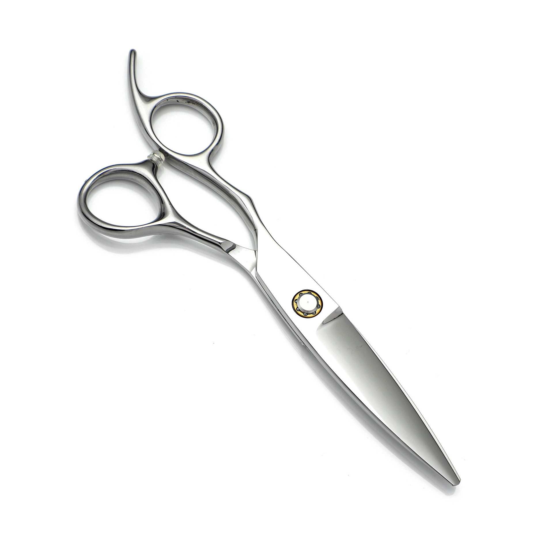 Ciseaux de coiffure professionnels effileurs argent pour salon_voghion.com