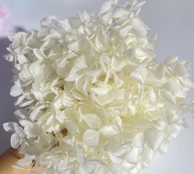 微信截图_20231203172831