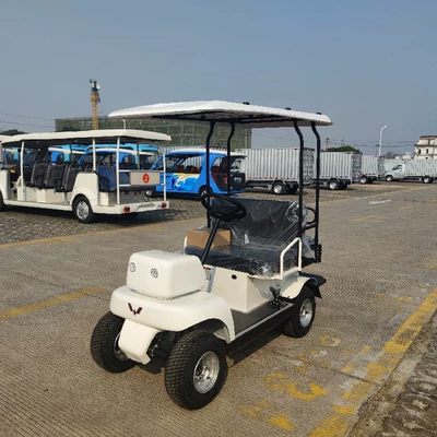 Sightseeing, Gentleman's Choice, Five-Year – Elektrikli qolf avtomobilləri