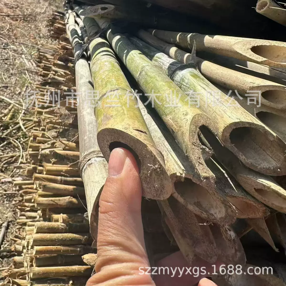 竹竿批发黄瓜豆角辣椒爬藤杆西红柿枸杞支撑竹竿旗杆竹子源头产地