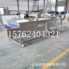 大姜清洗机新款 链网式清洗去杂质 生姜嫩姜大型清洗机厂家直销价
