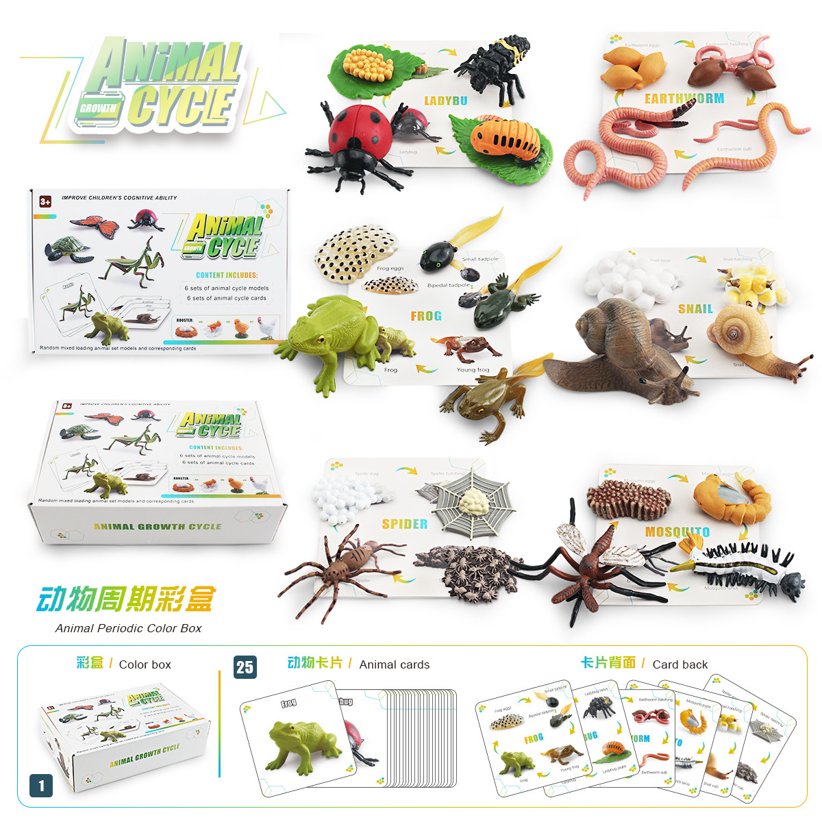 Transfronterizo niños simulación cognitiva insecto crecimiento ciclo color caja traje lombriz Caracol araña mosquito mariquita modelo