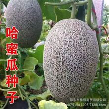 ������ܹϷN�������ϹϷN�����ļ����������Ϸ��߲�ˮ���N����