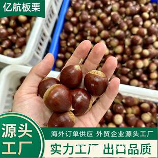 2025���ڱ��r̩ɽ�����ӹ�����40-60/30-40/40-50KG