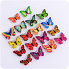 Hair butterfly night light LED colorful light emitting butterfly flashes light butterfly decorative light -butterfly wall sticker butterfly