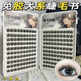 韩式新款大容量免胶自粘犬系假睫毛仿真可爱小奶狗超软睫毛书上镜