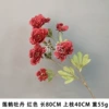 Lotus Crane Peony
