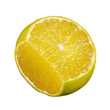 �V�̽����rˮ��ؕ��/����ٱ�Ƥ���l���ӽ���