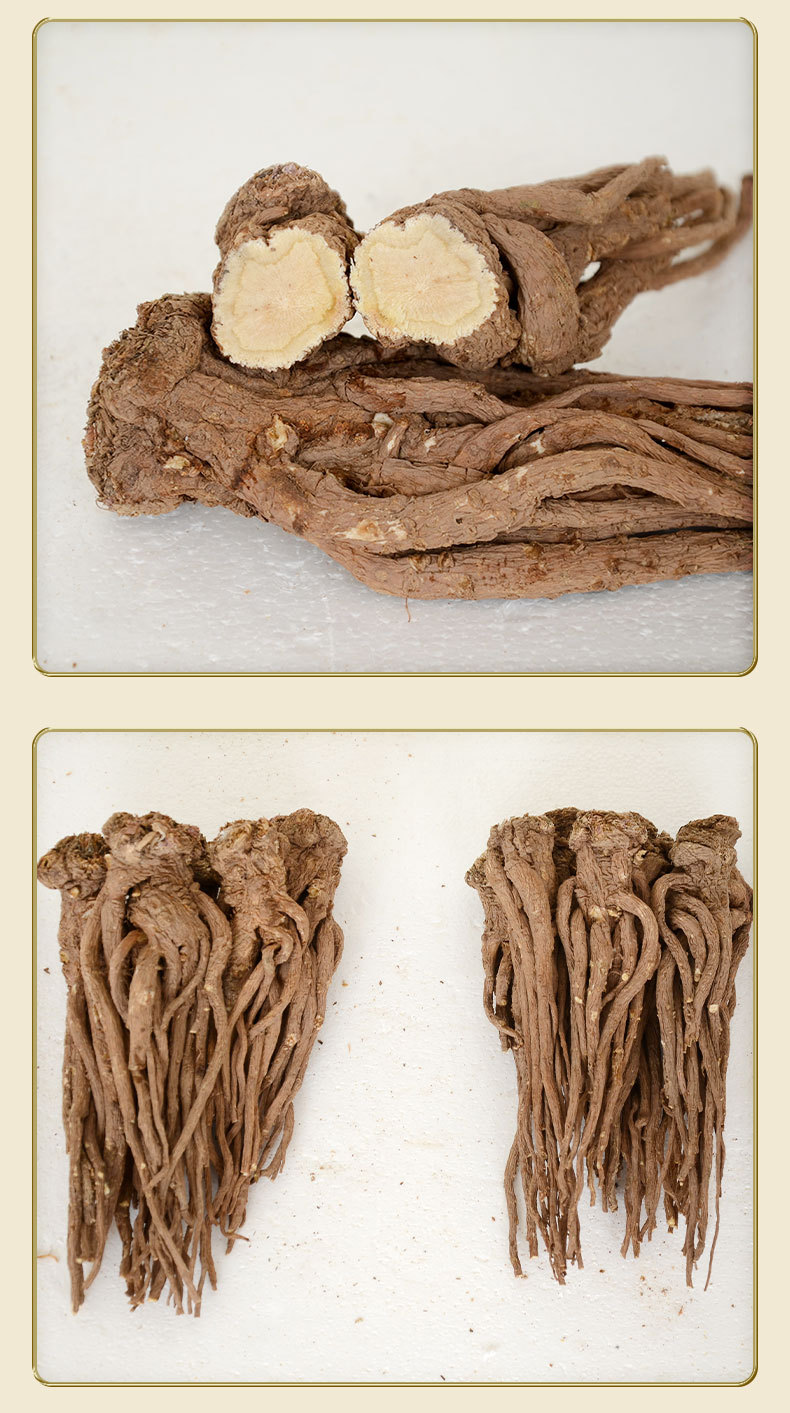Premium Dang Gui from Dingxi Min County, Large and Medium-Sized Whole Roots, Sulfur-Free, New Stock, at Prices detail image