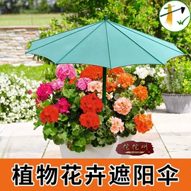 其他园林资材;园艺工具;园艺灌溉工具