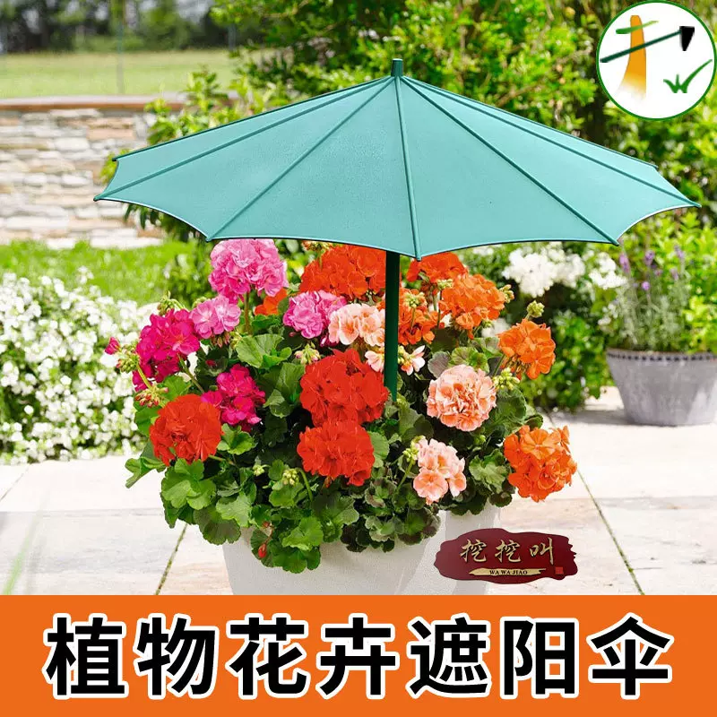 跨境爆款花园地插遮阳伞户外植物盆栽遮阳雨伞植物保护伞厂家直销