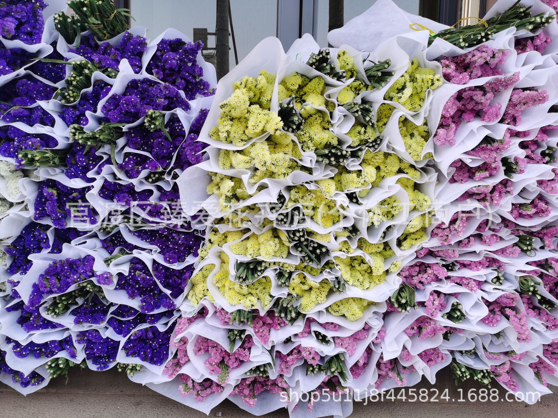 무작위 색상 0.5kg