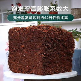 思威博粗椰壳砖兰花专用营养土蝴蝶兰植料月季拌土君子兰椰糠保湿