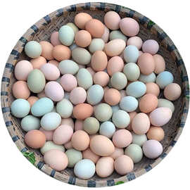 100枚九华山散养特级土鸡蛋绿壳鸡蛋混合装40枚