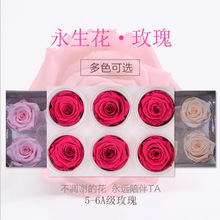 �ɻ����������˹��YƷ���r��õ�廨���Y���ֹ������S��ֱ�IA��5-6