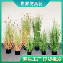 ���Ʒ��滨��β�ݸɻ��JȔ���� ���ϻ������Ĕz���߼Ҿ��b����l