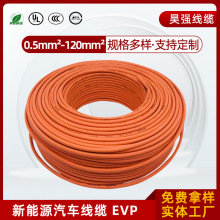 ����Դ늄���܇����ȼ������EVP/EVRP�~о�߉�����늘����|���