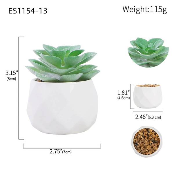 ES1154-13