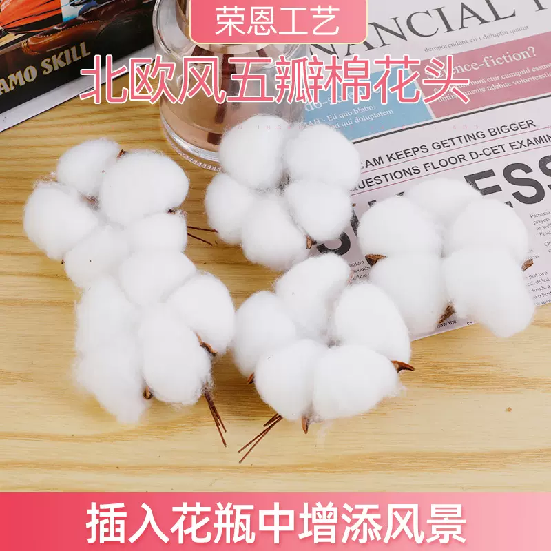 新疆五瓣棉花头  精品棉花干花花束礼品装饰摆件永生花干棉花批发