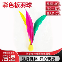 �羳���l��ɫ�������҃����\�ӳ��˃�ͯ���������w�����������