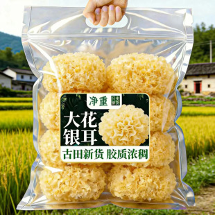 ������y����؛���zŴ��ѩ����ľ���y��ɏ�Ӹ�������؛�r�aƷ