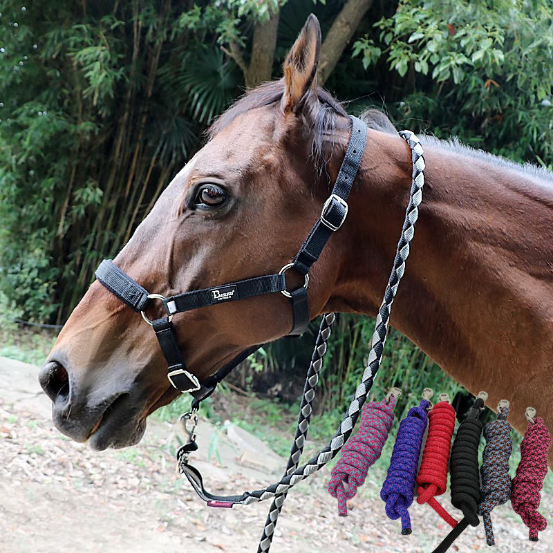 ロープマッチング馬具、銅製馬ひも、織り馬具、回転フック馬ひも、フルフック馬勒、馬術|undefined