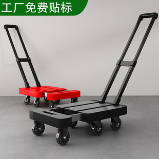 匹克球及其他球类