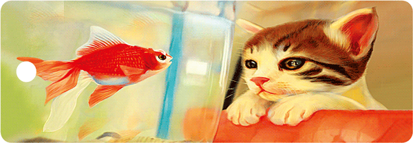 14391d4bc3e2acd8a1ba937f84ab81