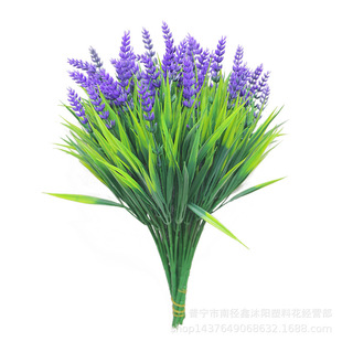���R�d������滨����޹�²����ϼٻ��Ҿ��b�c�Gֲ�������Ի�