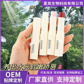 RHQ凡士林润唇膏保湿补水滋润淡化唇纹唇部护理水果香型跨境热销