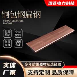 工厂批发铜包钢扁钢50*5mm机房接地材料防雷水平接地线铜覆钢扁钢