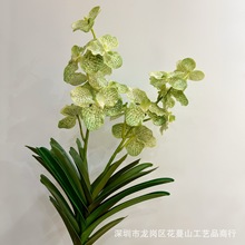 ���� �����m�^�z���������m����֦�ٻ����ꎧ�~�f���m