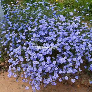 �{�����黨�N���ļ��׷N�̨ͥԺ�҃��ⴹ����������ֲ����m����