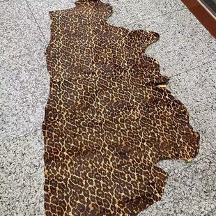 �؃r���y���Rë ���l�F؛ţƤƤ�����ɳ�lƤ�ϏV�ݏS�ҹ�����l