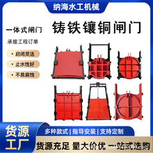 定制铸铁镶铜闸门渠道污水处理厂闸门手电两用机闸一体铸铁圆闸门