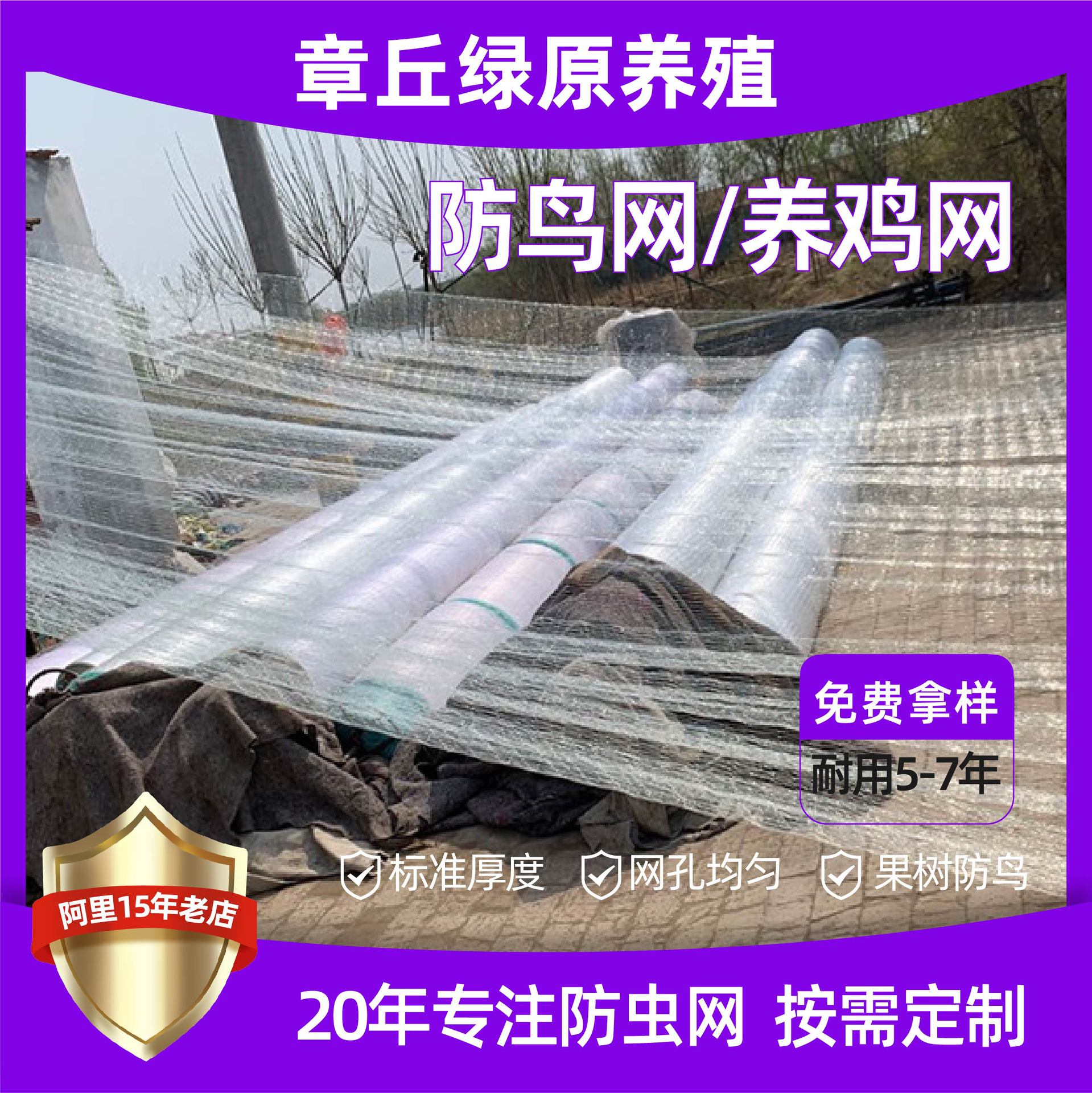 豆丹网防鸟网 果园鱼塘葡萄樱桃防鸟网 厂家货源防鸟用防护网