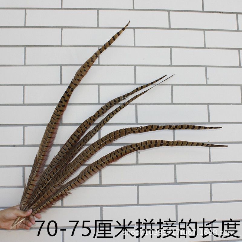 Fábrica al por mayor pelo de faisán 10-90cm cola de faisán pluma de bricolaje danza plumas de faisán cola de gallina palo de gato divertido image 22