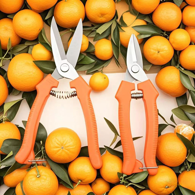 ΢��ͼƬ_20250528111924