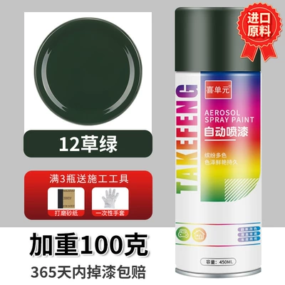 Avtomobil boyası — silver paint for automobiles - grass-green-450ml-bottle-spray-paint