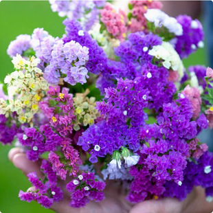 �����ҷN���׷N�ļ����ݻ�������ͥԺ�҃����ļ��_�����໨�N����